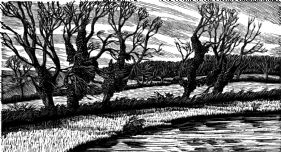 wood-engraving print: Five Trees